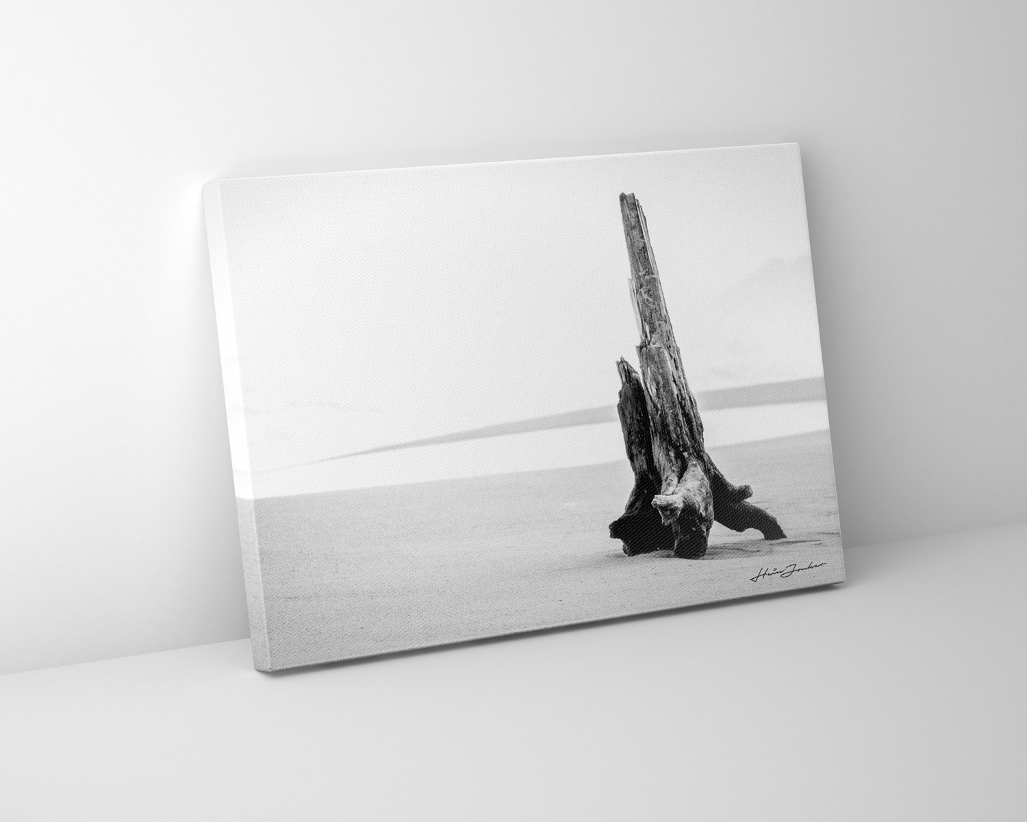 Driftwood Standing - Image 3